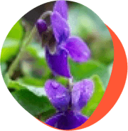 További dolgozóink csoport